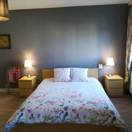 Hotel Domaine Jacaranda De Banaudon - Chambres D'hôtes- Coeur De - Lunéville- Soirée étape Vrp *