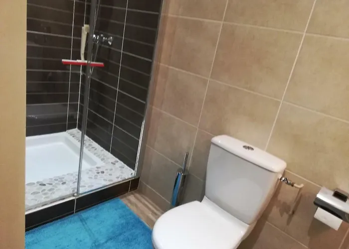 Jacaranda De Banaudon - Chambres D'hotes- Petits Dejeuners Inclus -guest , Breakfast Included - Coeur De * Lunéville