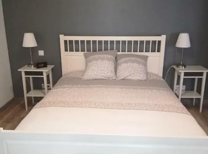 Hotel Jacaranda De Banaudon - Chambres D'hotes- Petits Dejeuners Inclus -guest , Breakfast Included - Coeur De