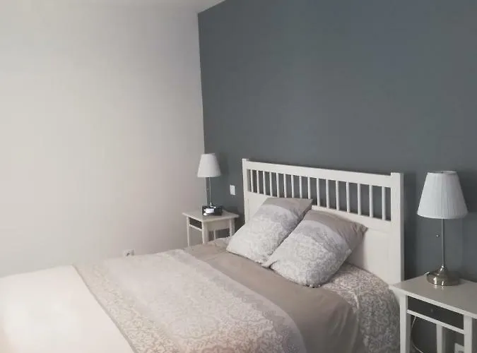 Jacaranda De Banaudon - Chambres D'hotes- Petits Dejeuners Inclus -guest , Breakfast Included - Coeur De Hotel Lunéville